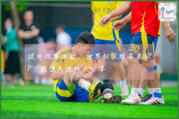 提升观赛体验，世界杯买球苹果APP下载使用技巧大分享