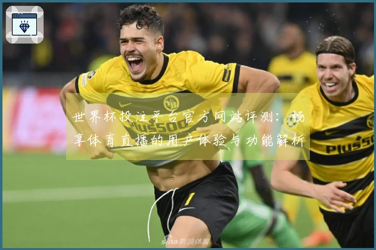 世界杯投注平台官方网站评测：畅享体育直播的用户体验与功能解析