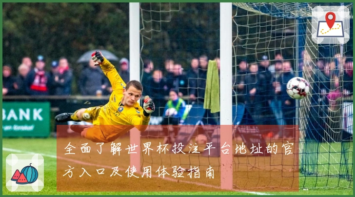 全面了解世界杯投注平台地址的官方入口及使用体验指南