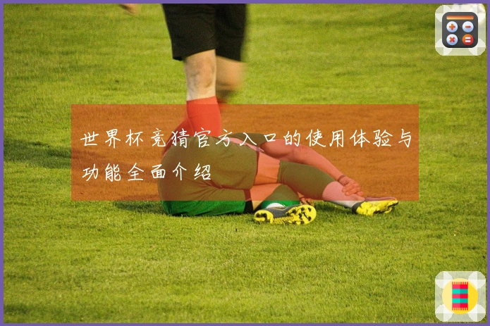 世界杯竞猜官方入口的使用体验与功能全面介绍