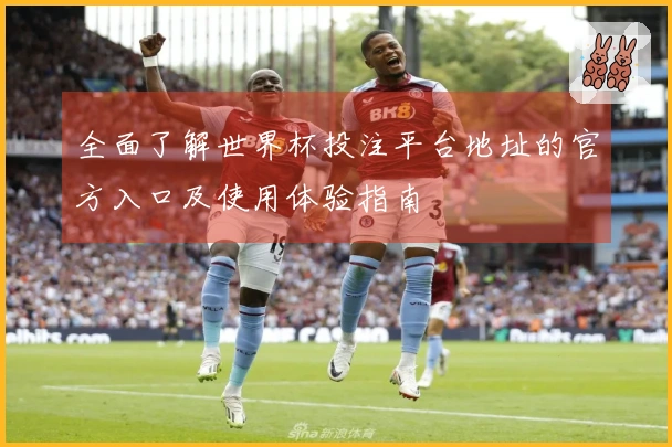 全面了解世界杯投注平台地址的官方入口及使用体验指南