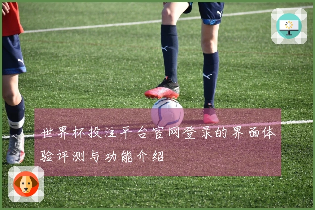 世界杯投注平台官网登录的界面体验评测与功能介绍