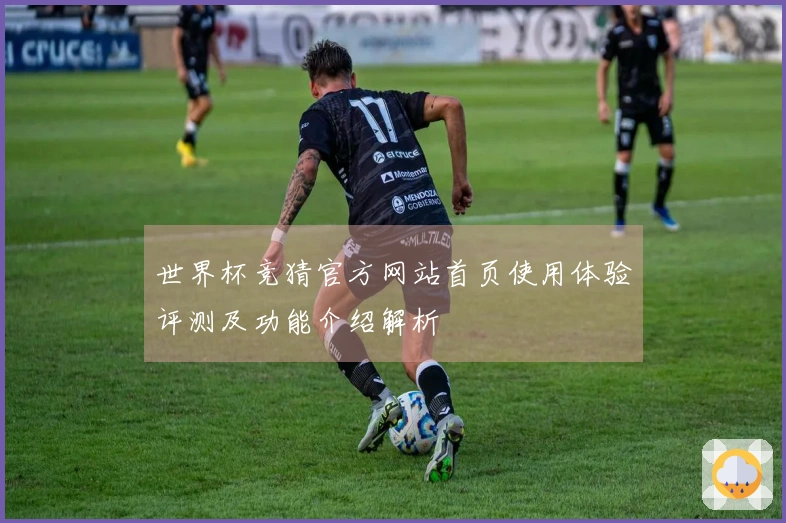世界杯竞猜官方网站首页使用体验评测及功能介绍解析