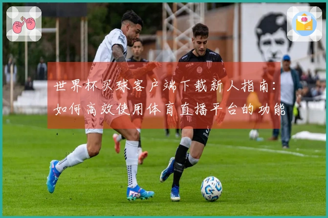 世界杯买球客户端下载新人指南：如何高效使用体育直播平台的功能与入口介绍