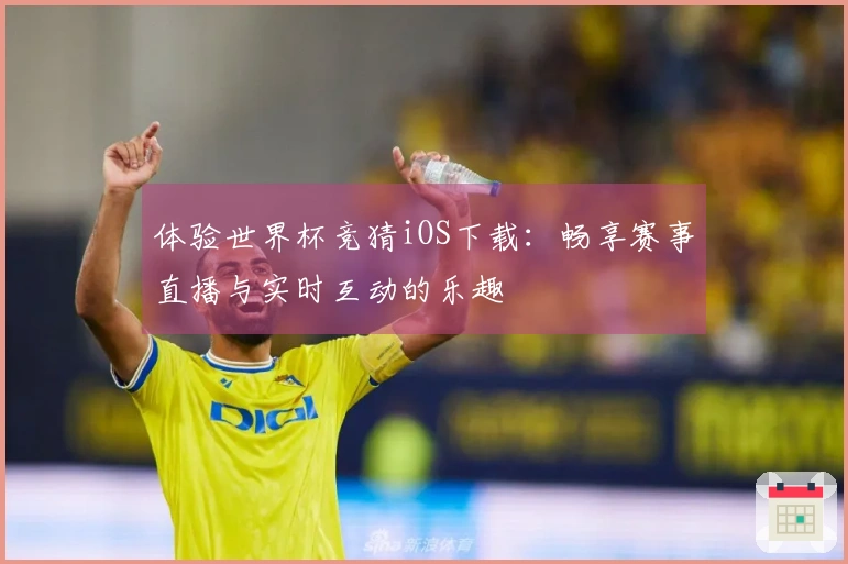 体验世界杯竞猜iOS下载：畅享赛事直播与实时互动的乐趣