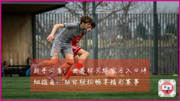 新手必看：世界杯买球官方入口详细指南，助你轻松畅享精彩赛事