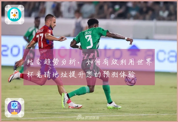 结合趋势分析，如何有效利用世界杯竞猜地址提升您的预测体验