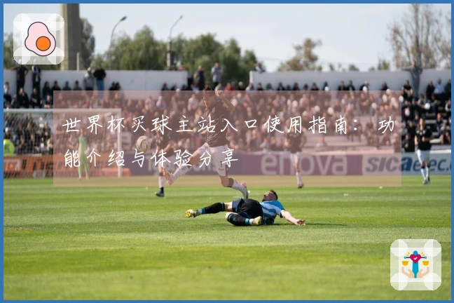 世界杯买球主站入口使用指南：功能介绍与体验分享