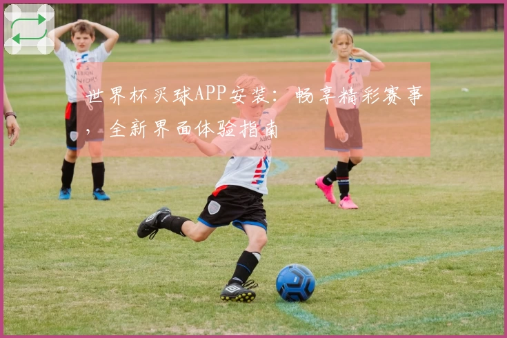 世界杯买球APP安装：畅享精彩赛事，全新界面体验指南