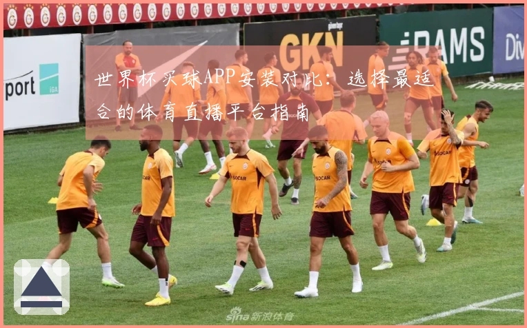 世界杯买球APP安装对比：选择最适合的体育直播平台指南